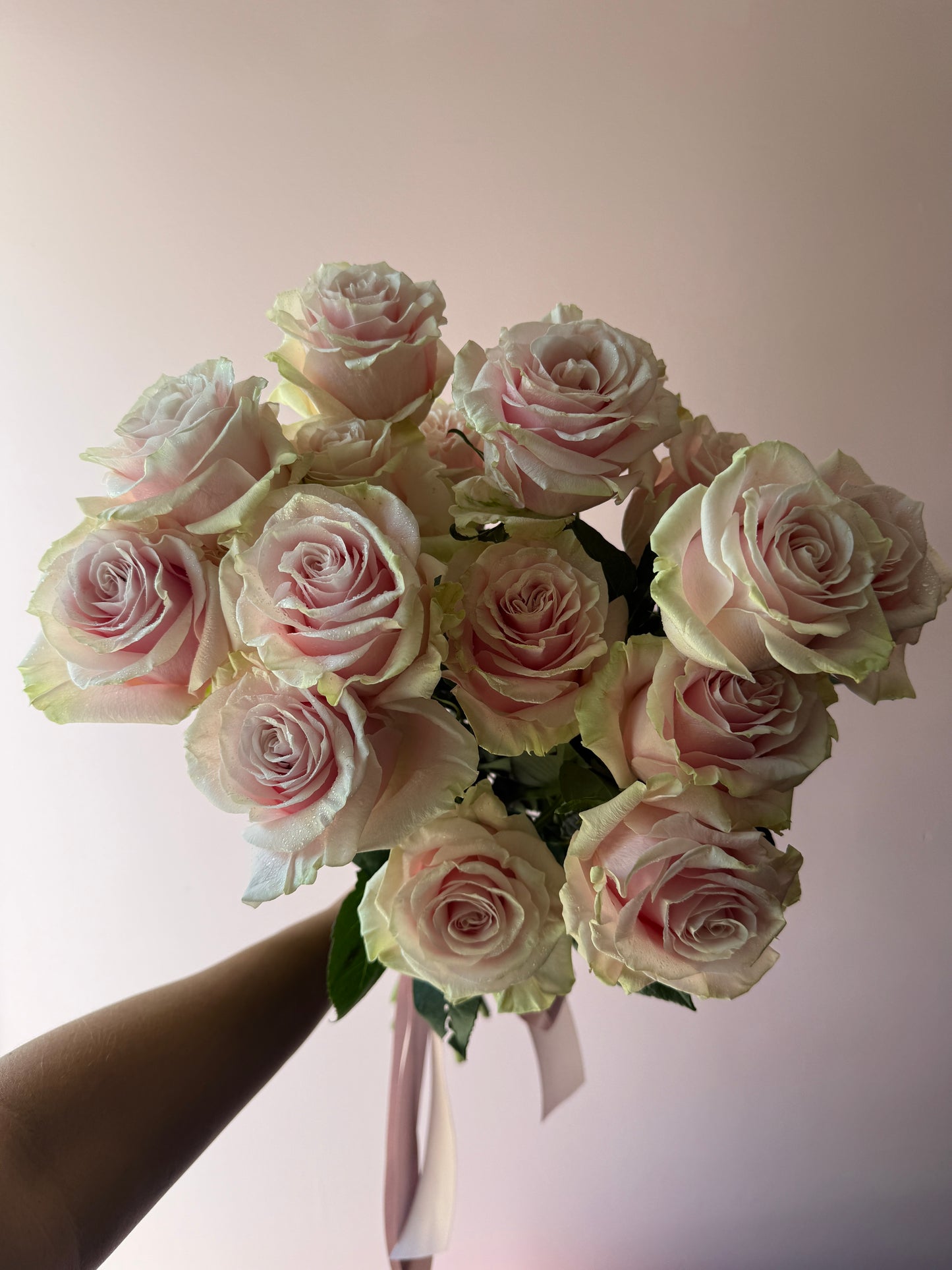 Roses En Masse