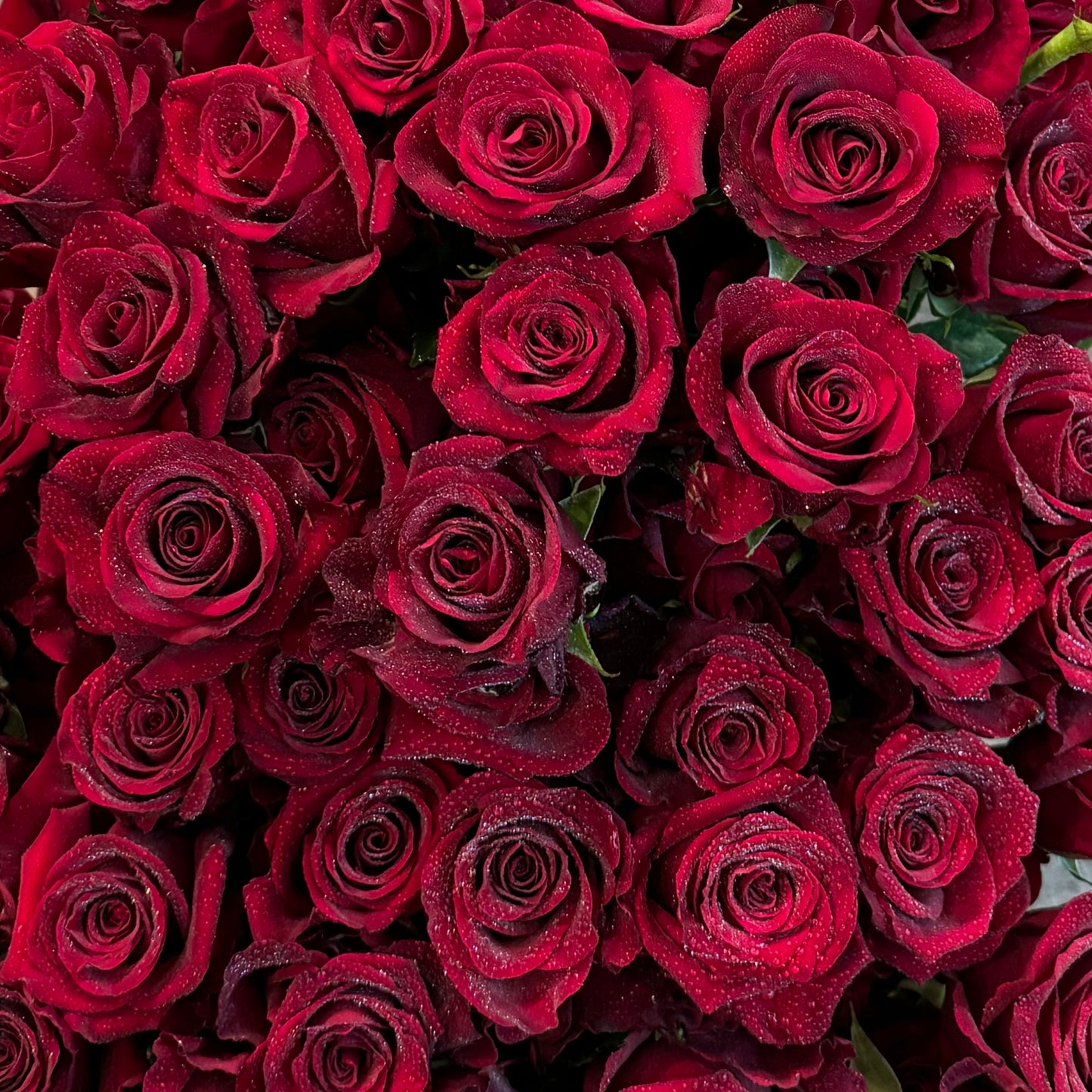 RED ROSE BOX