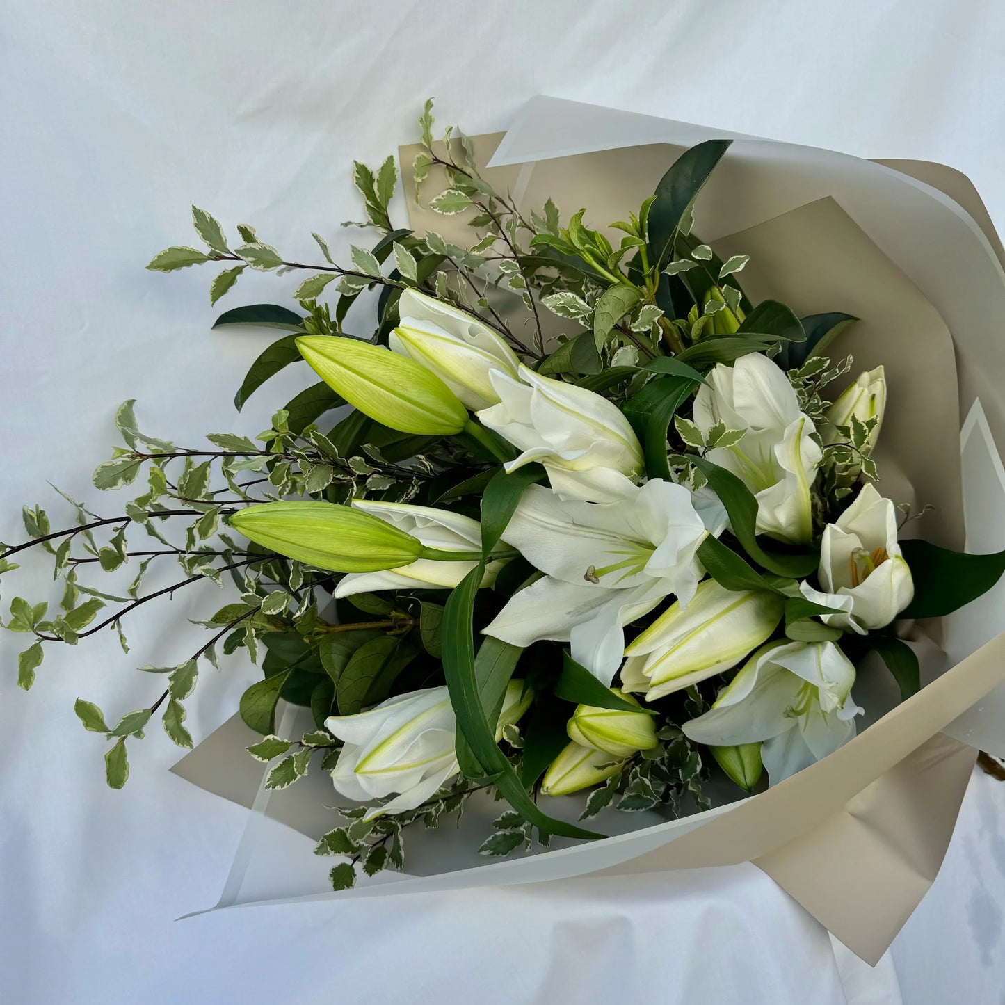 The Lily