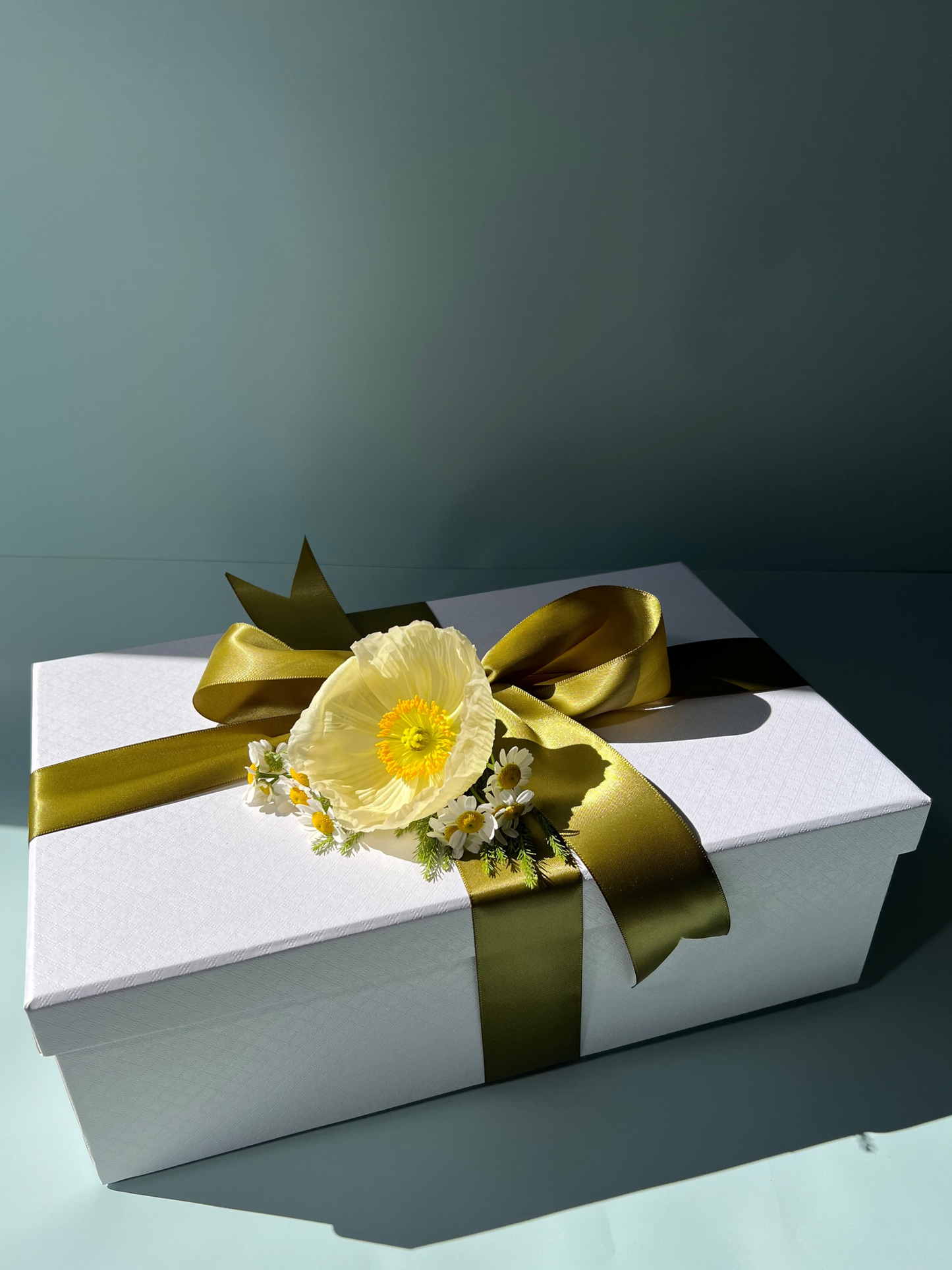 ECOYA GIFTSET