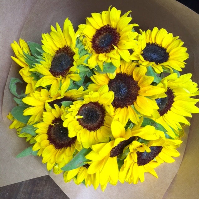 LOCAL SUNFLOWERS