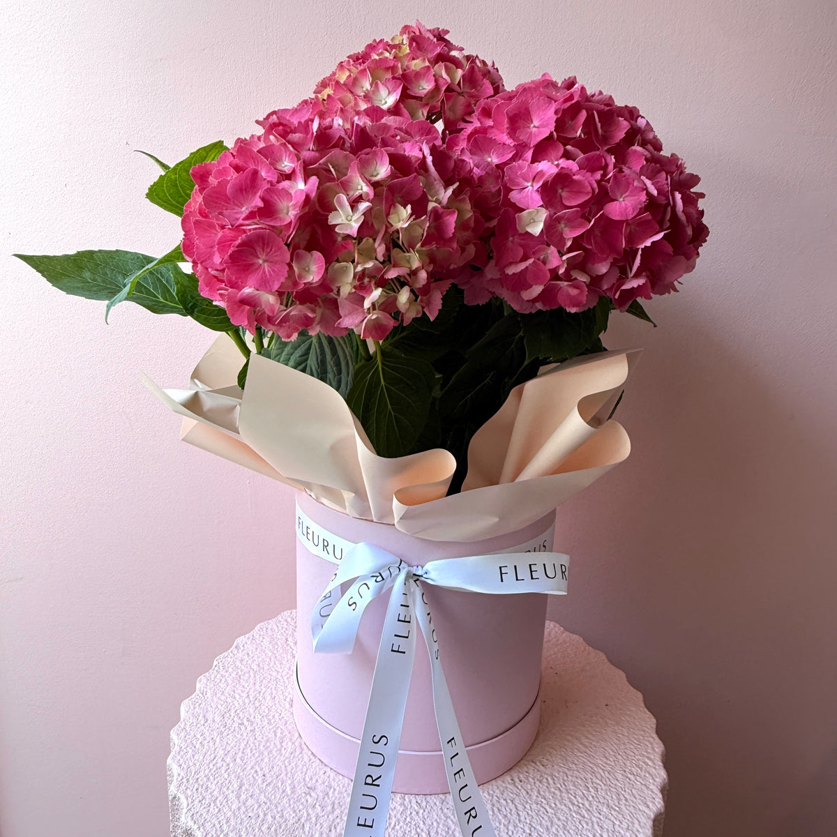 Pink Hydrangea Plant Hat Box