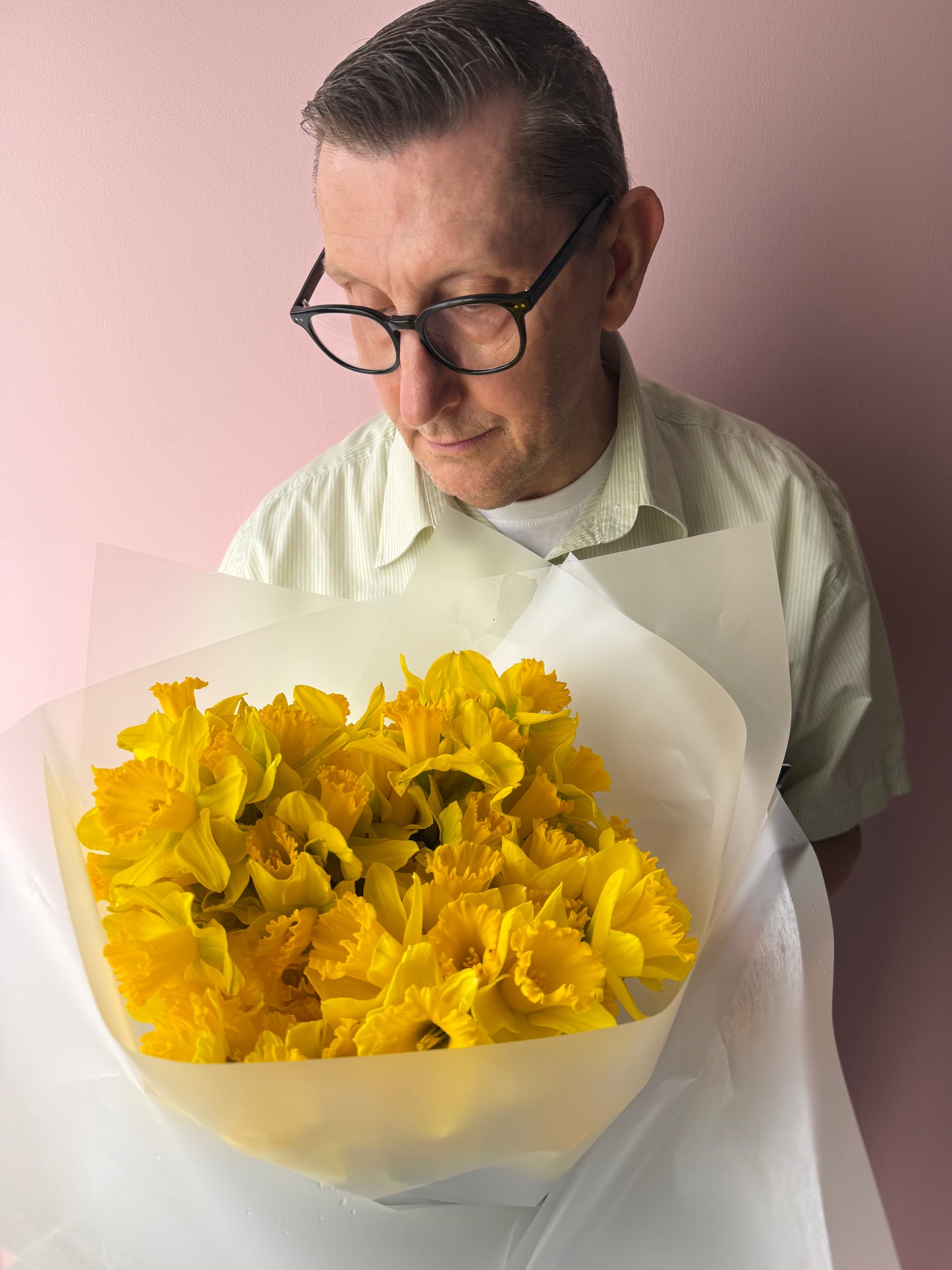 Abundance of Daffodils
