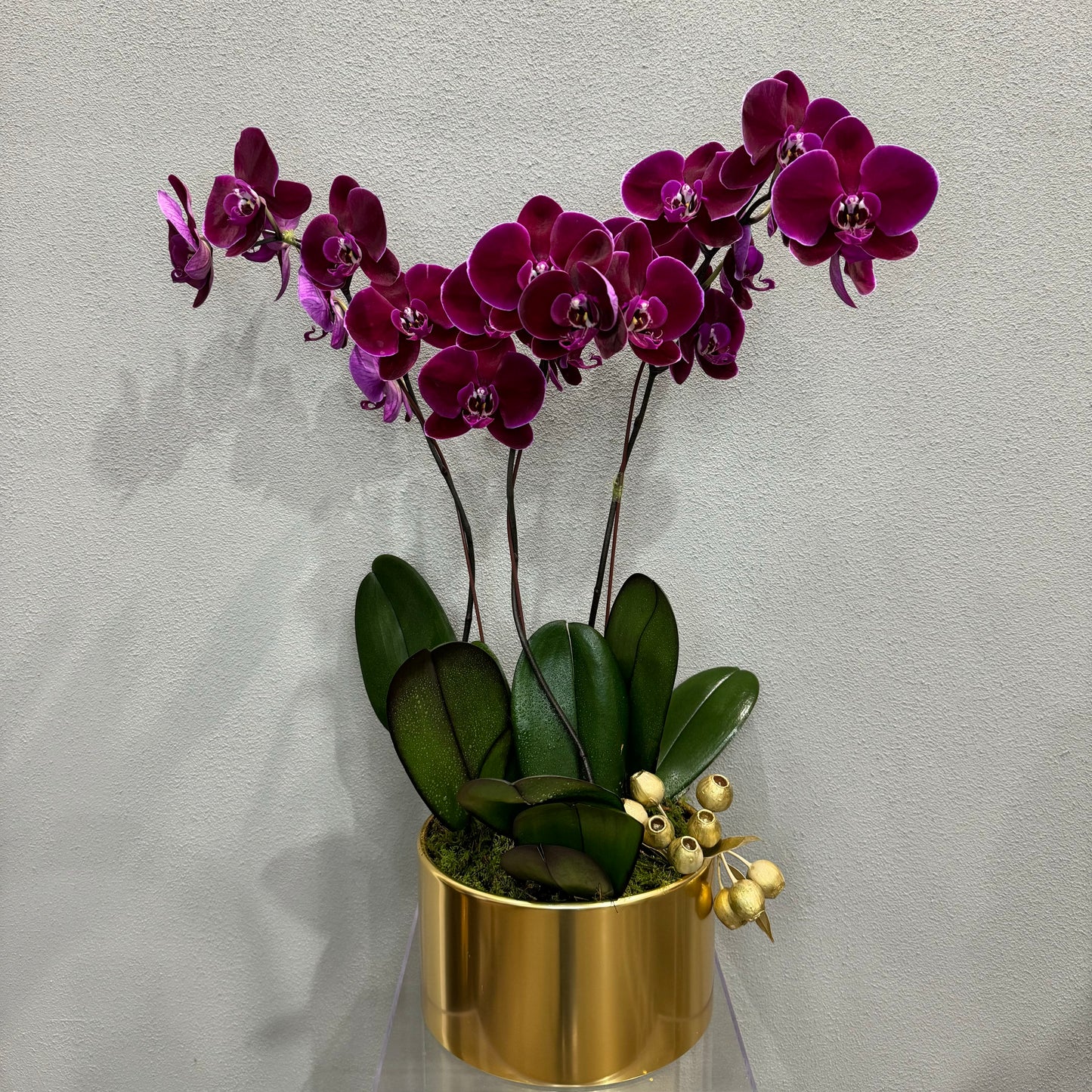 Opulent Orchid Design