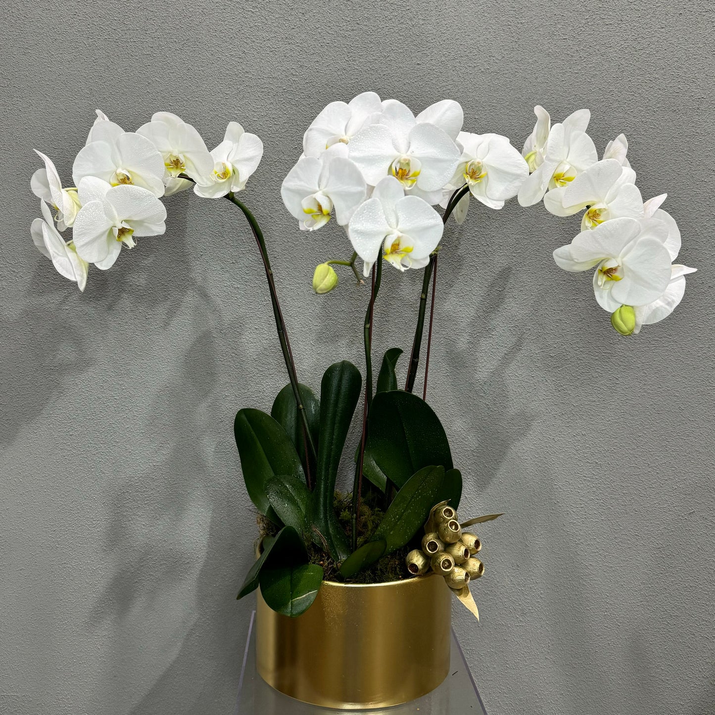 Opulent Orchid Design