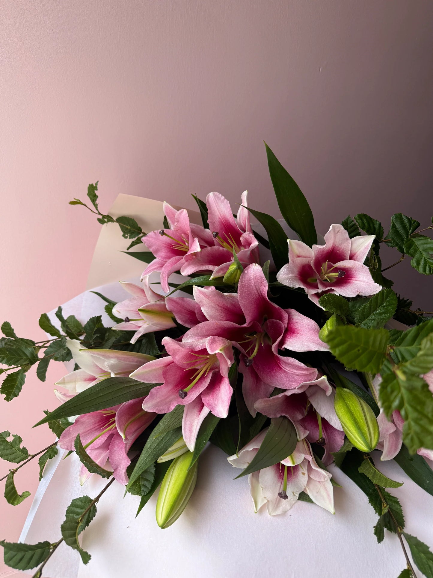 The Lily