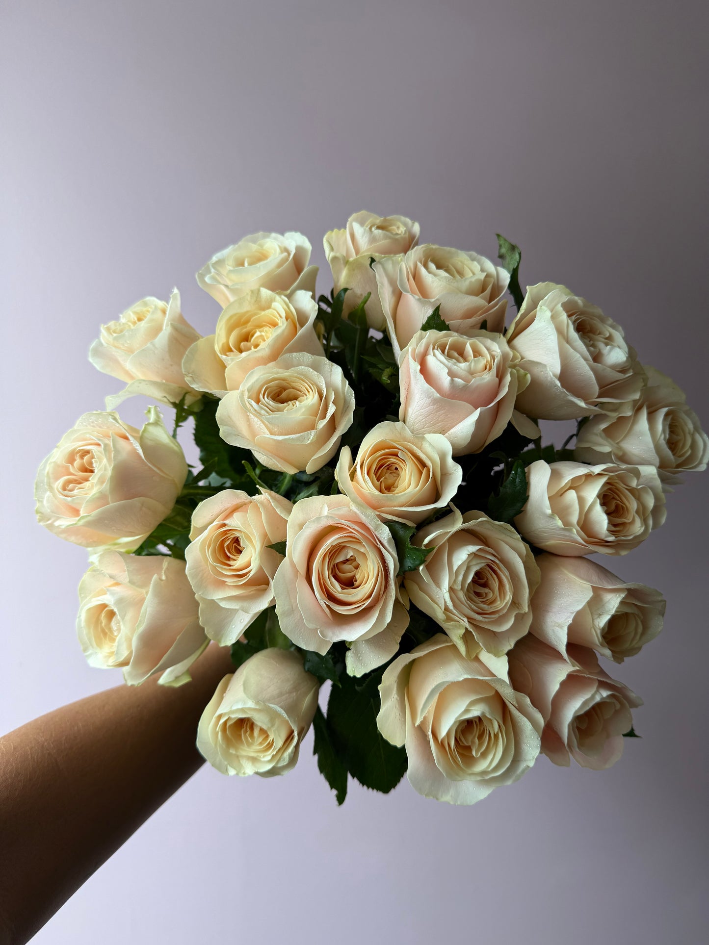 Local Roses