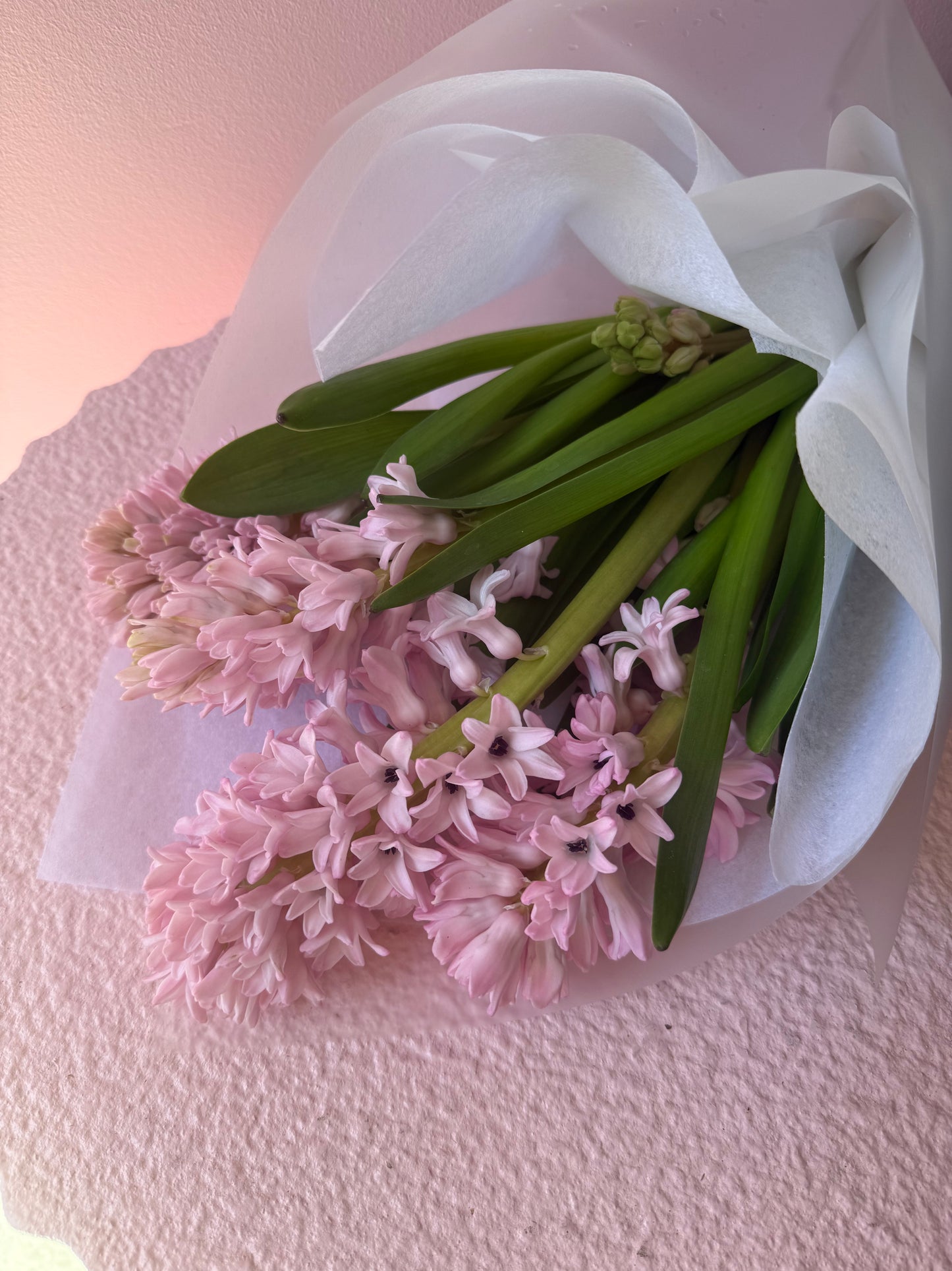 Abundance of Hyacinth