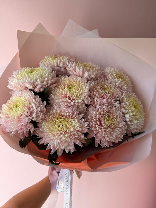 Abundance of Chrysanthemum Magnum