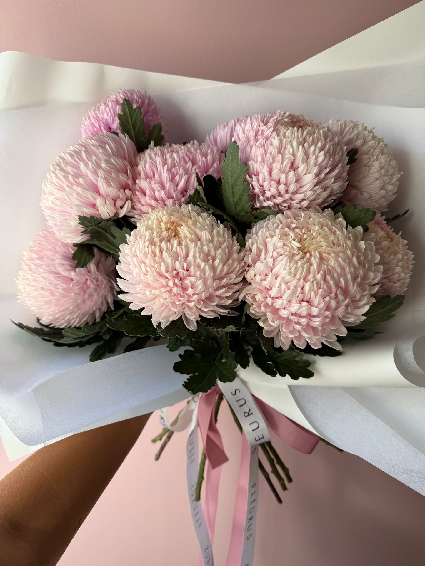 Abundance of Chrysanthemum