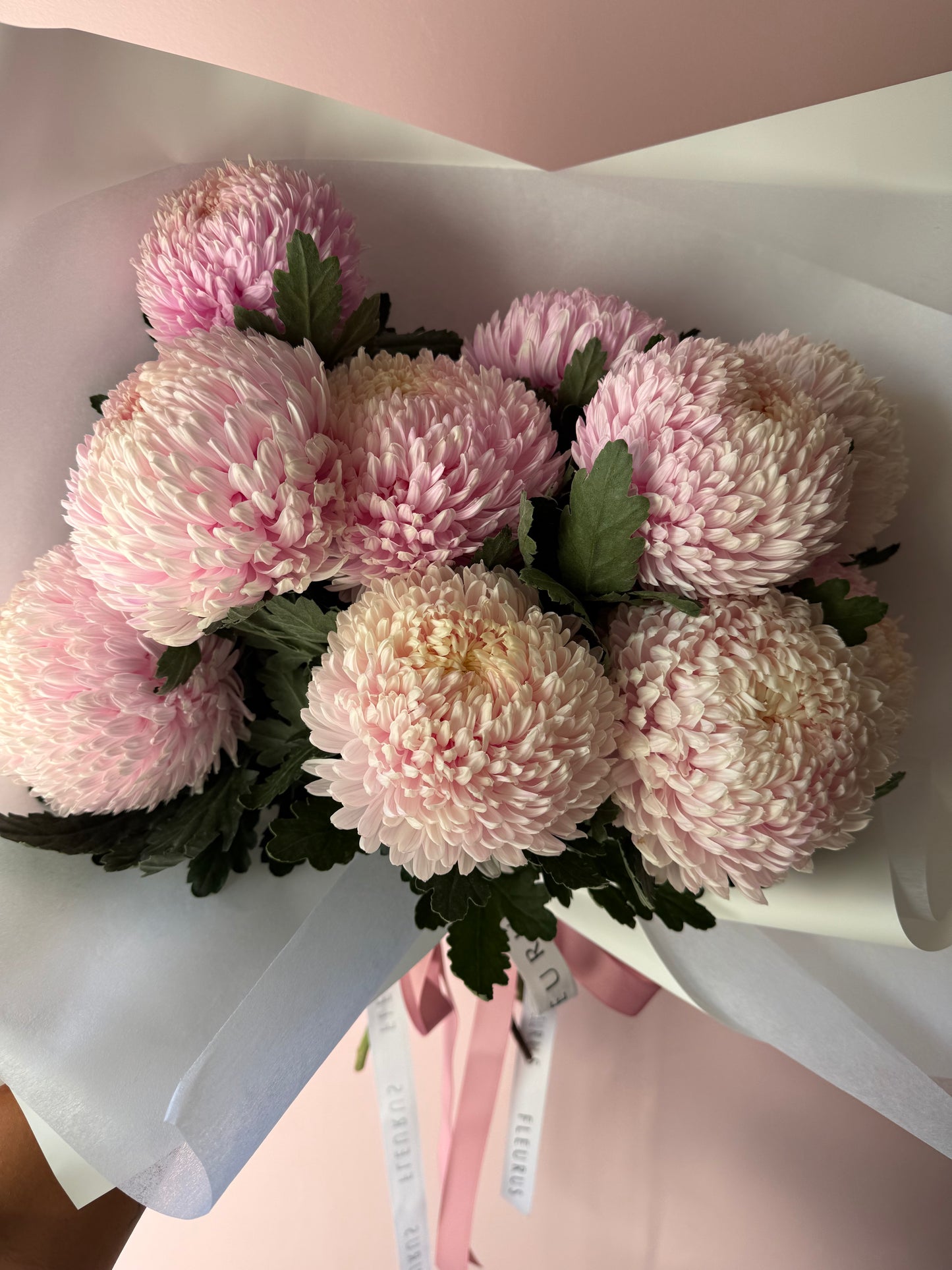 Abundance of Chrysanthemum