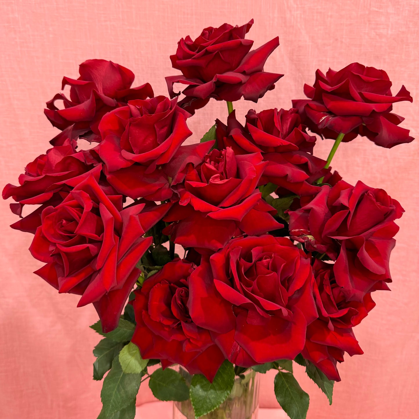 Reflexed Red Roses