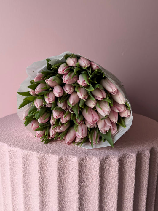 Abundance of Tulips