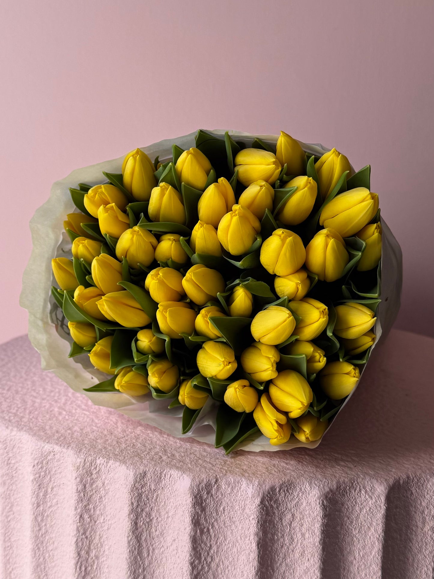 Abundance of Tulips