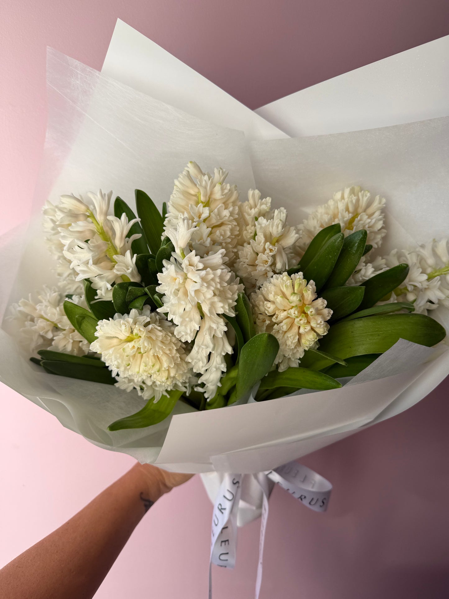 Abundance of Hyacinth