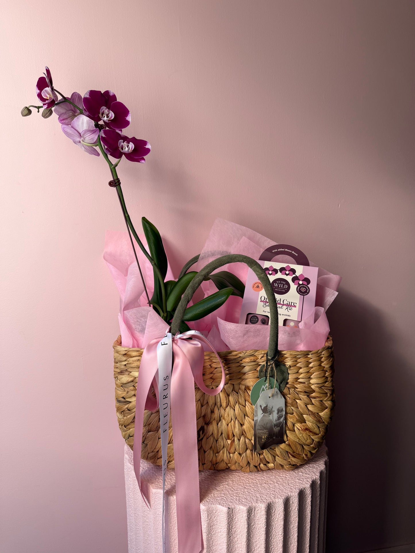 The Orchid Lover Gift Set