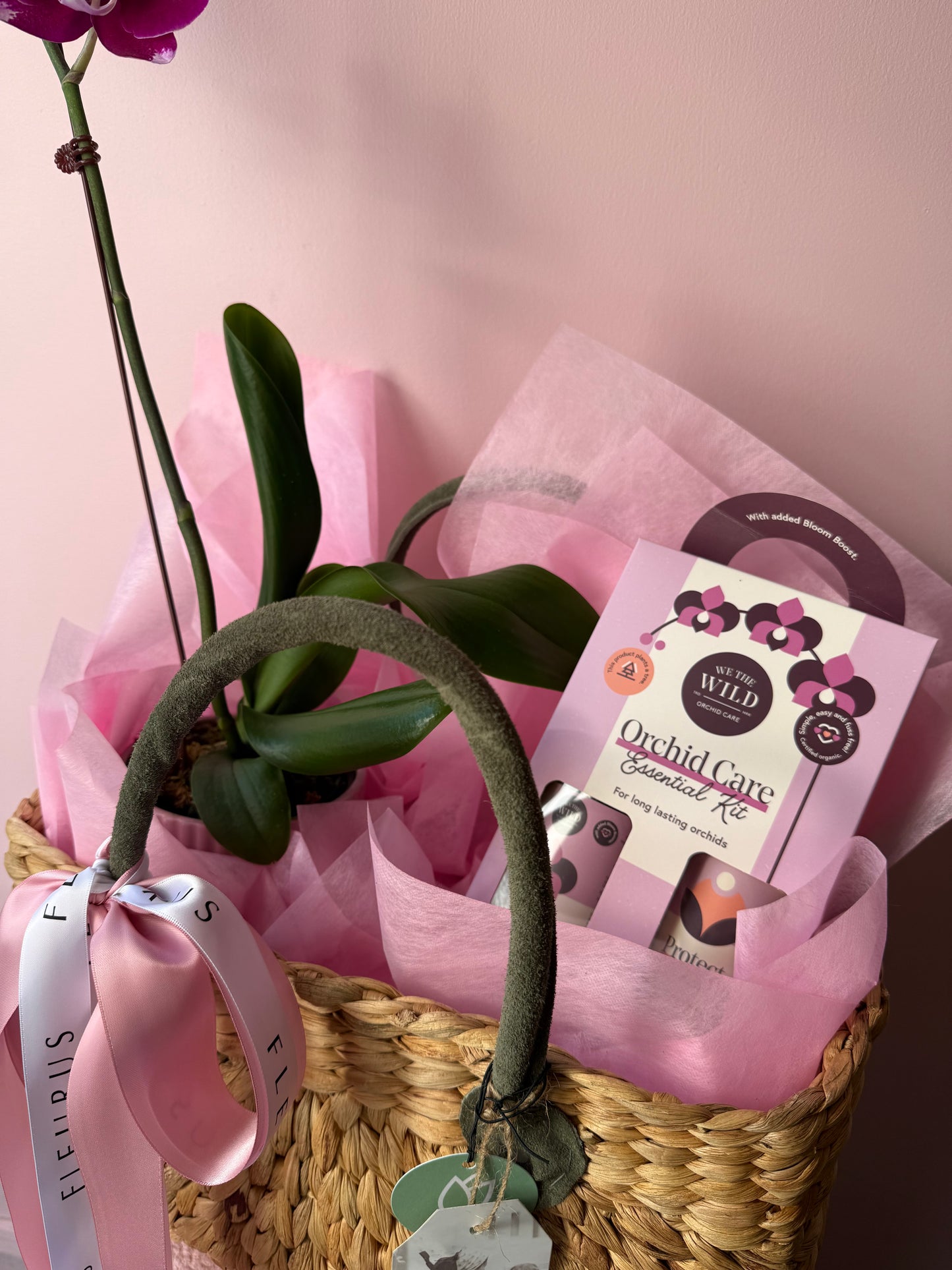 The Orchid Lover Gift Set