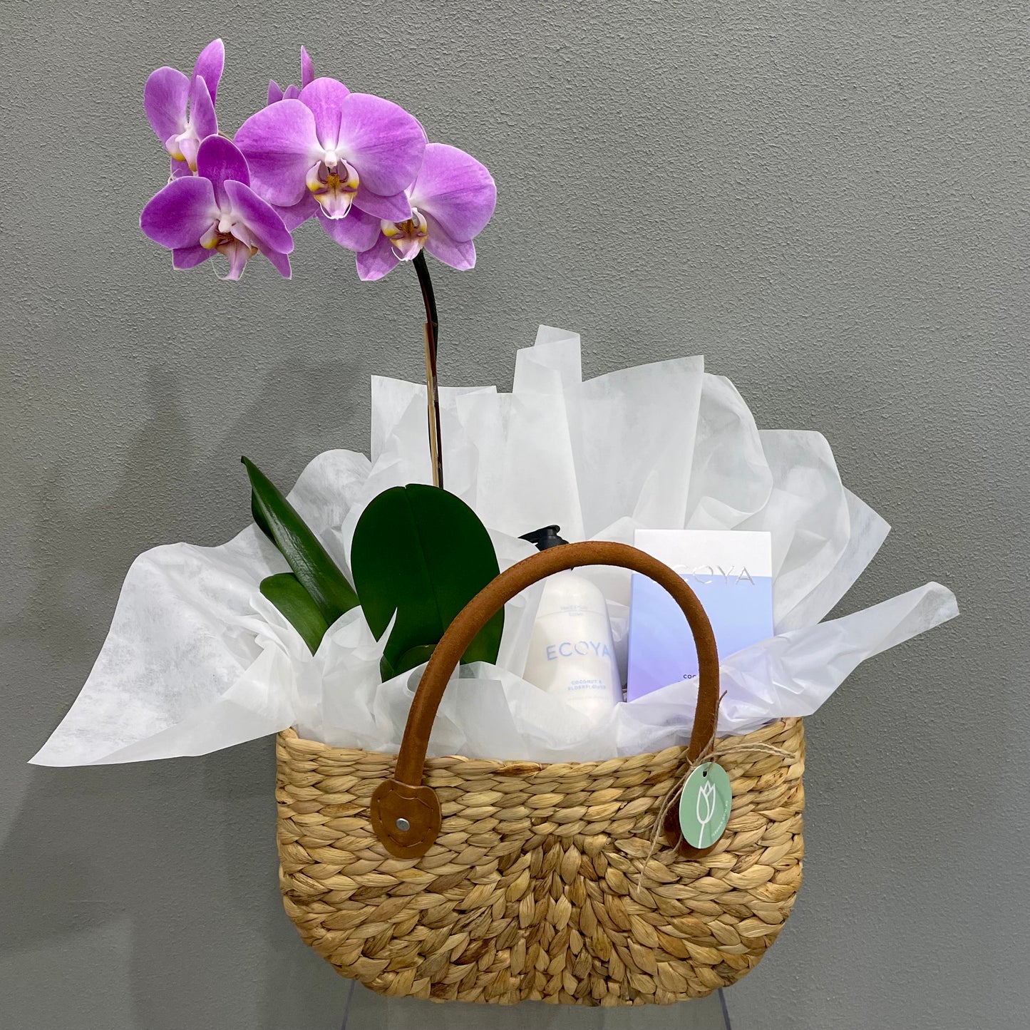 Orchid Gift Basket