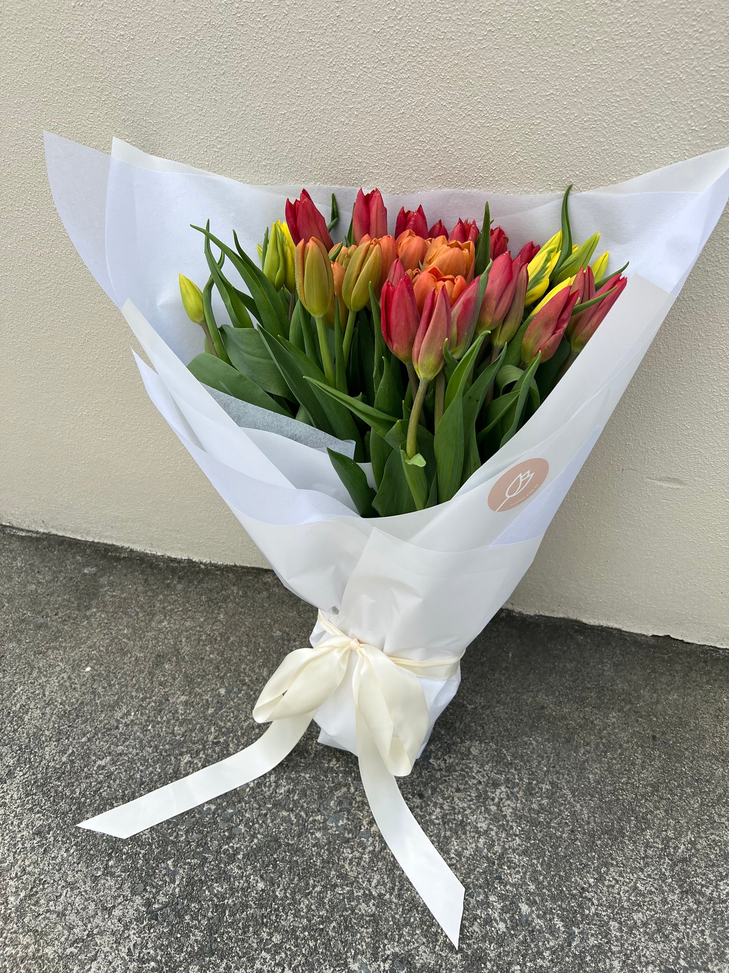 ABUNDANCE OF TULIPS