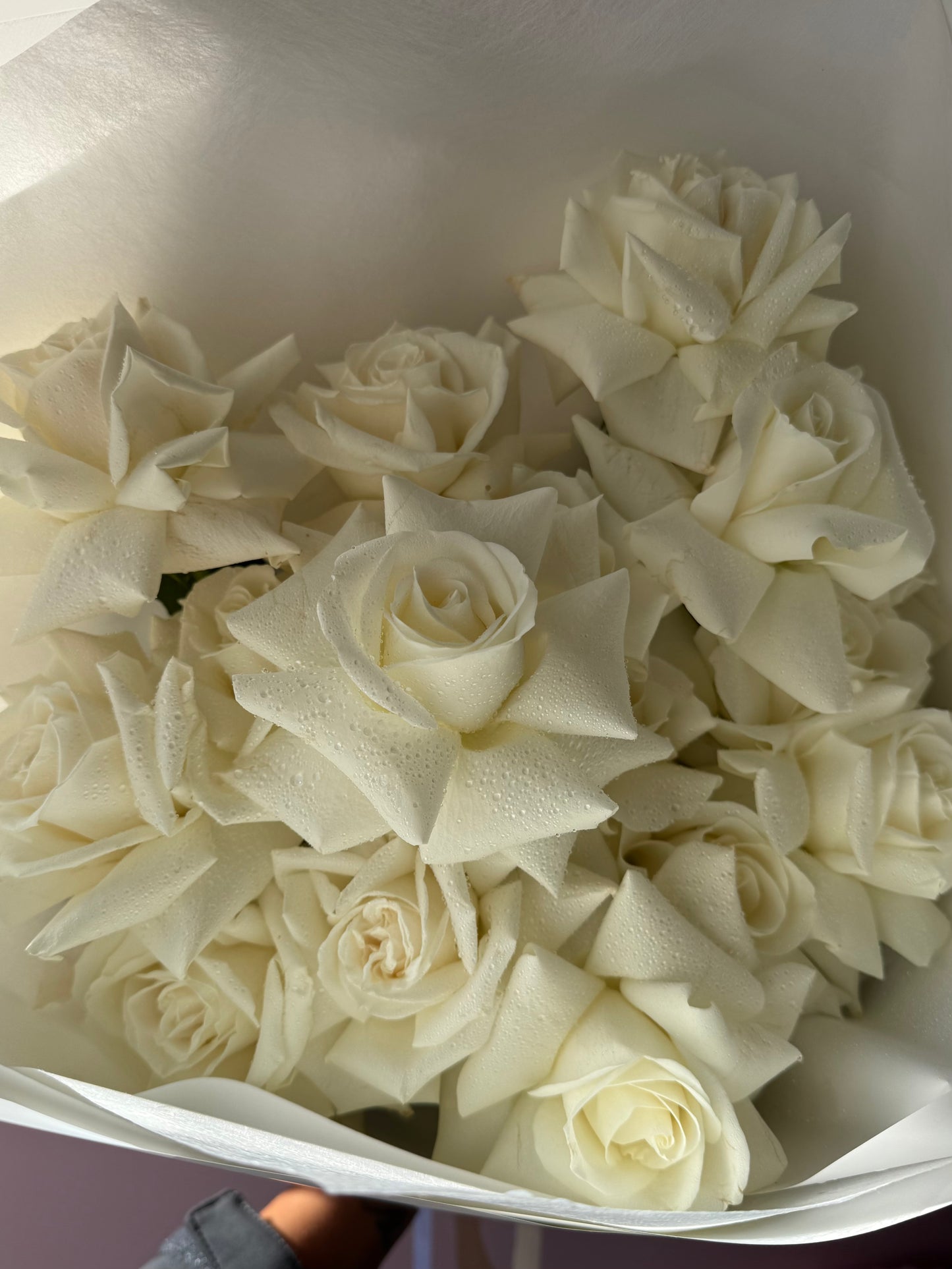 Roses En Masse