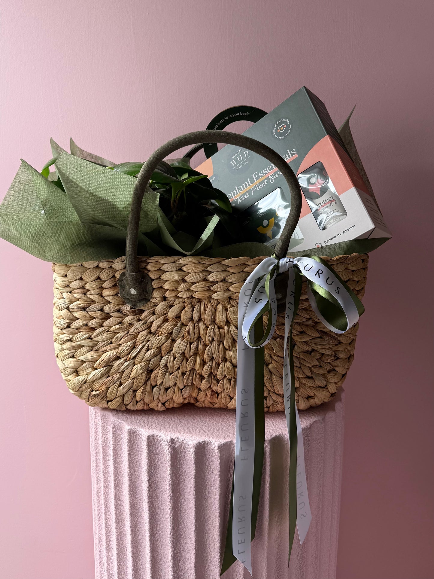 The Plant Lover Gift Set