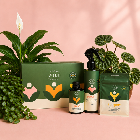 Essential Plant Care Kit