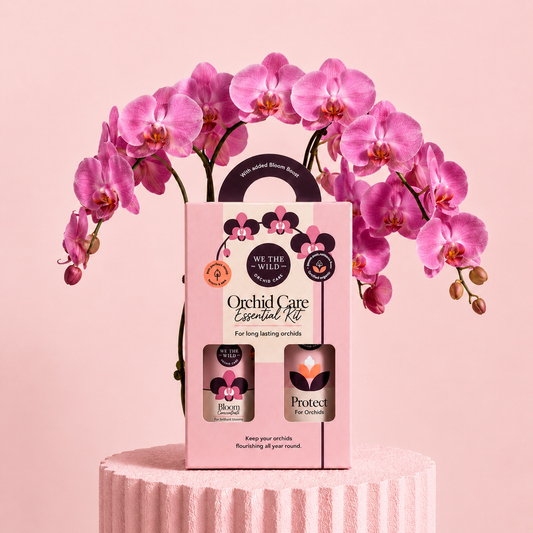 Orchid Care Duo