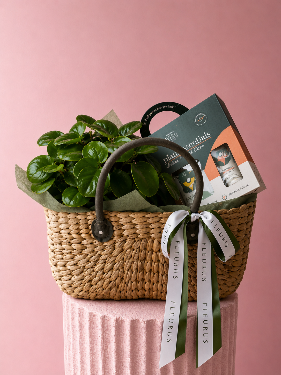 The Plant Lover Gift Set