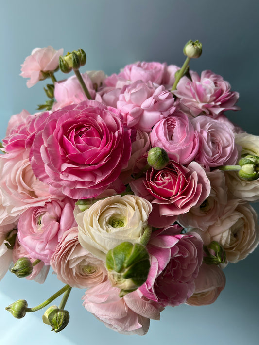 ABUNDANCE OF RANUNCULUS