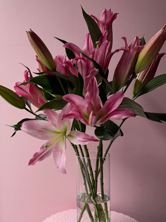 The Lily