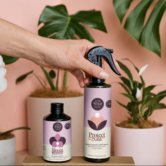 Orchid Care Duo