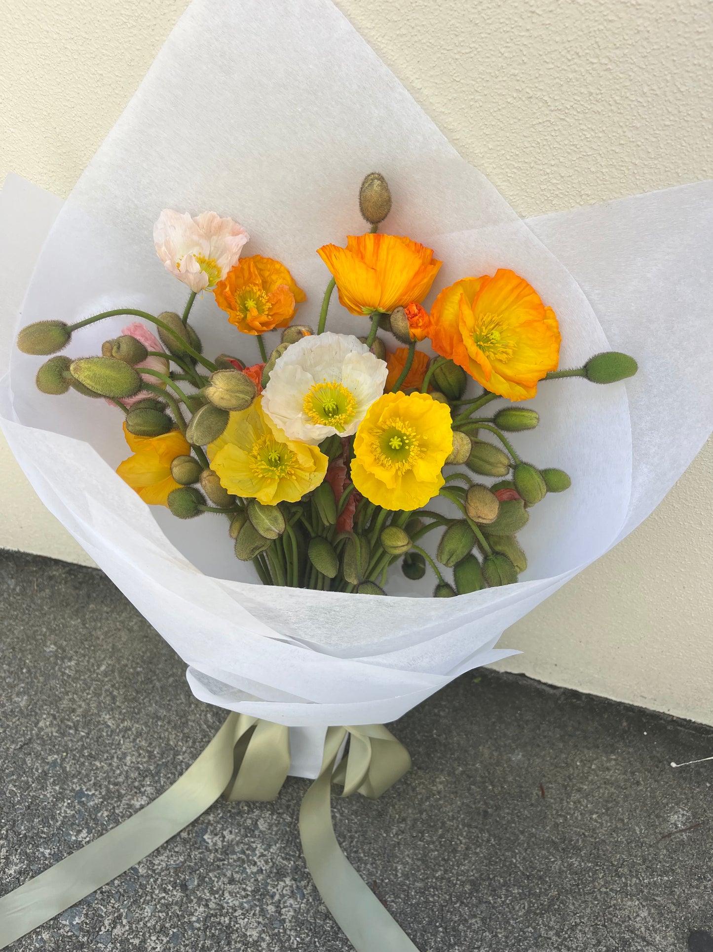 ABUNDANCE OF POPPIES
