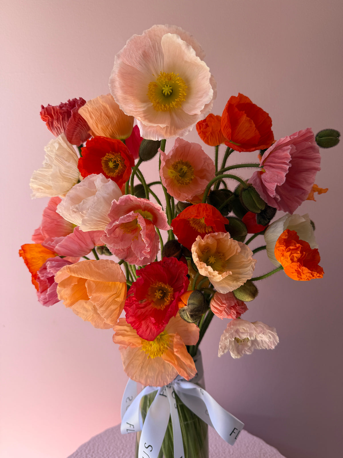Abundance of Poppies - Vase