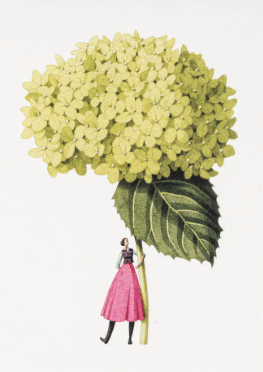 Card To Suit Occasion