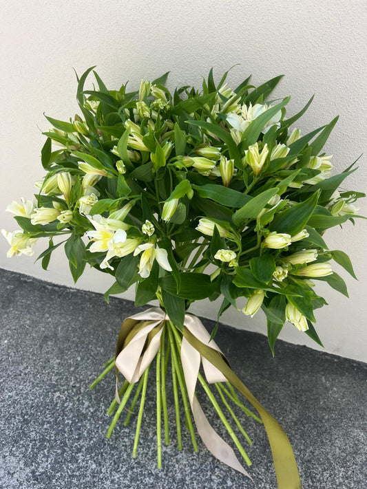 ABUNDANCE OF ALSTROEMERIA