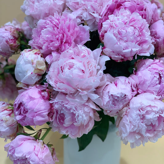 Peonies En Masse